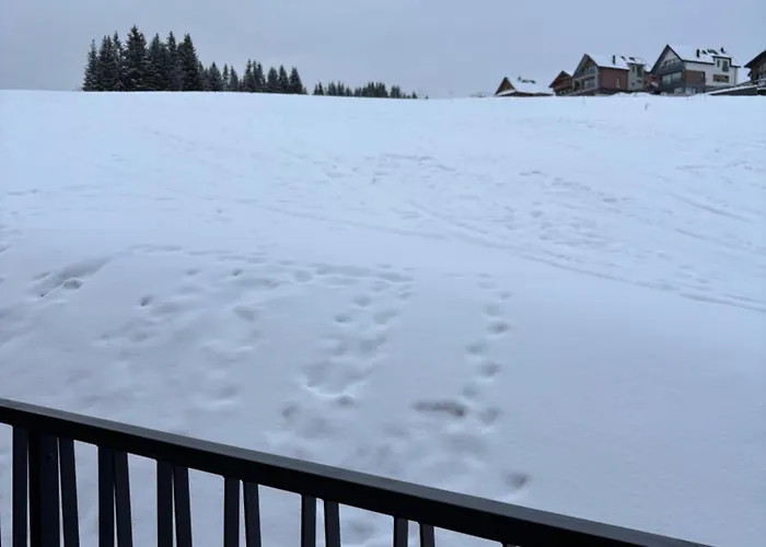 Erdody - Montis 40 Oravská Lesná